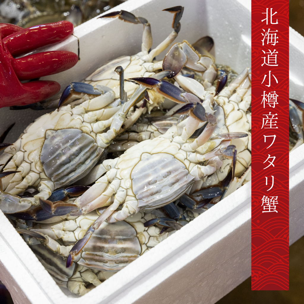 北海道小樽産ワタリ蟹(オス)