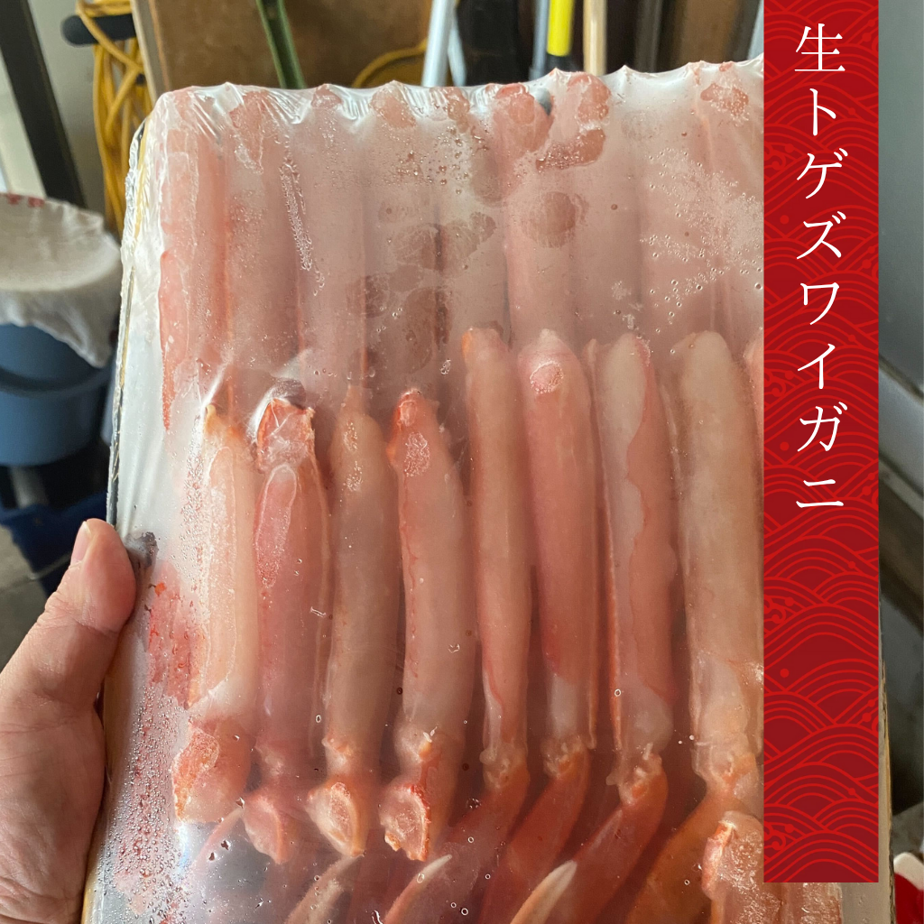 生トゲズワイハーフポーション1kg
