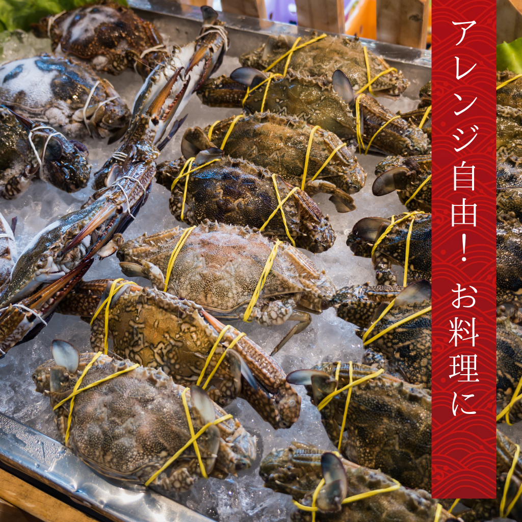 北海道小樽産ワタリ蟹(オス)