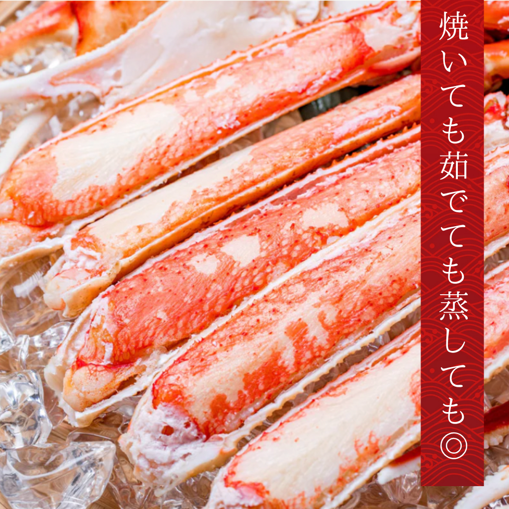 生トゲズワイハーフポーション1kg