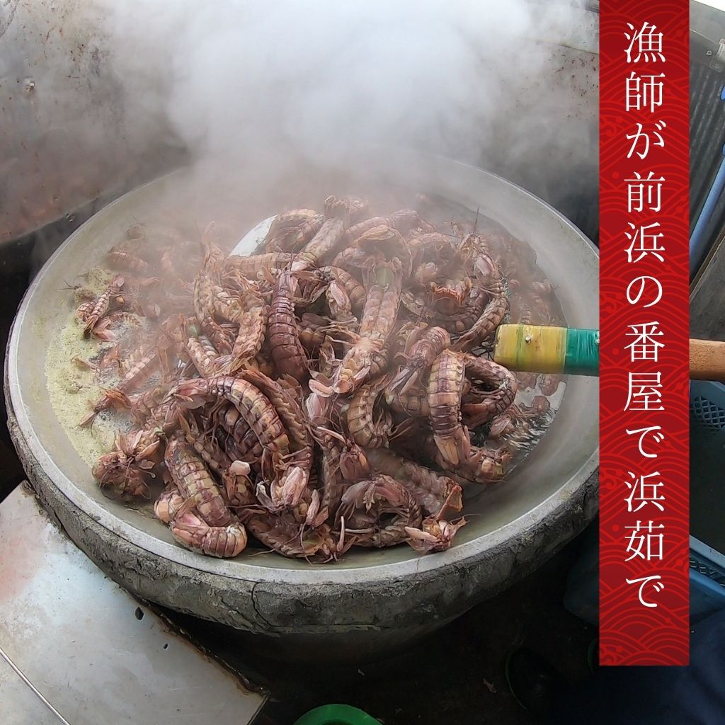 小樽前浜産特大シャコ(オス8尾×2パック)