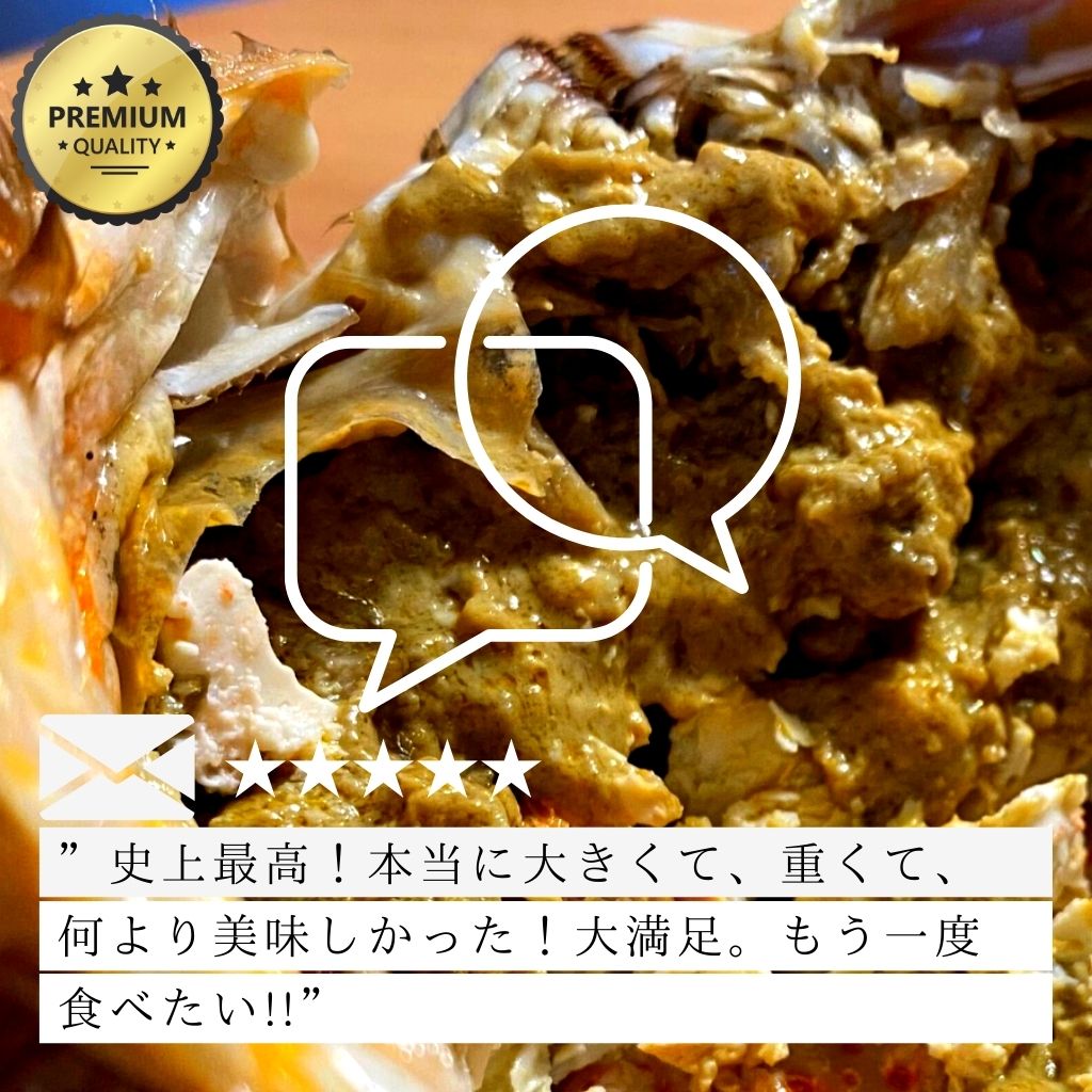 北海道産特大プレミアム毛蟹(900g以上)