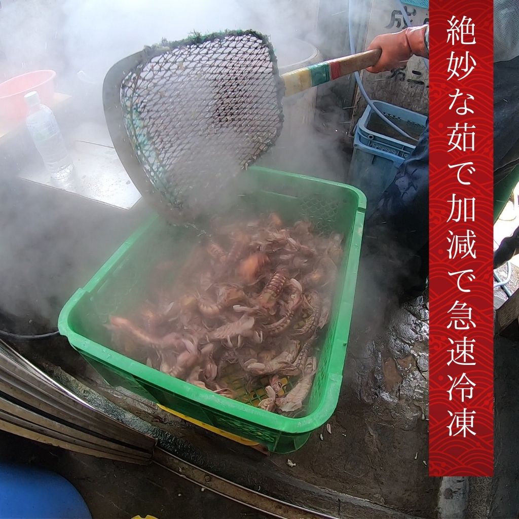 小樽前浜産特大シャコ(オス8尾×2パック)