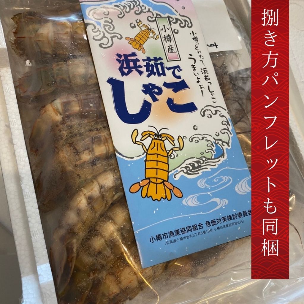 小樽前浜産特大シャコ(オス8尾×2パック)