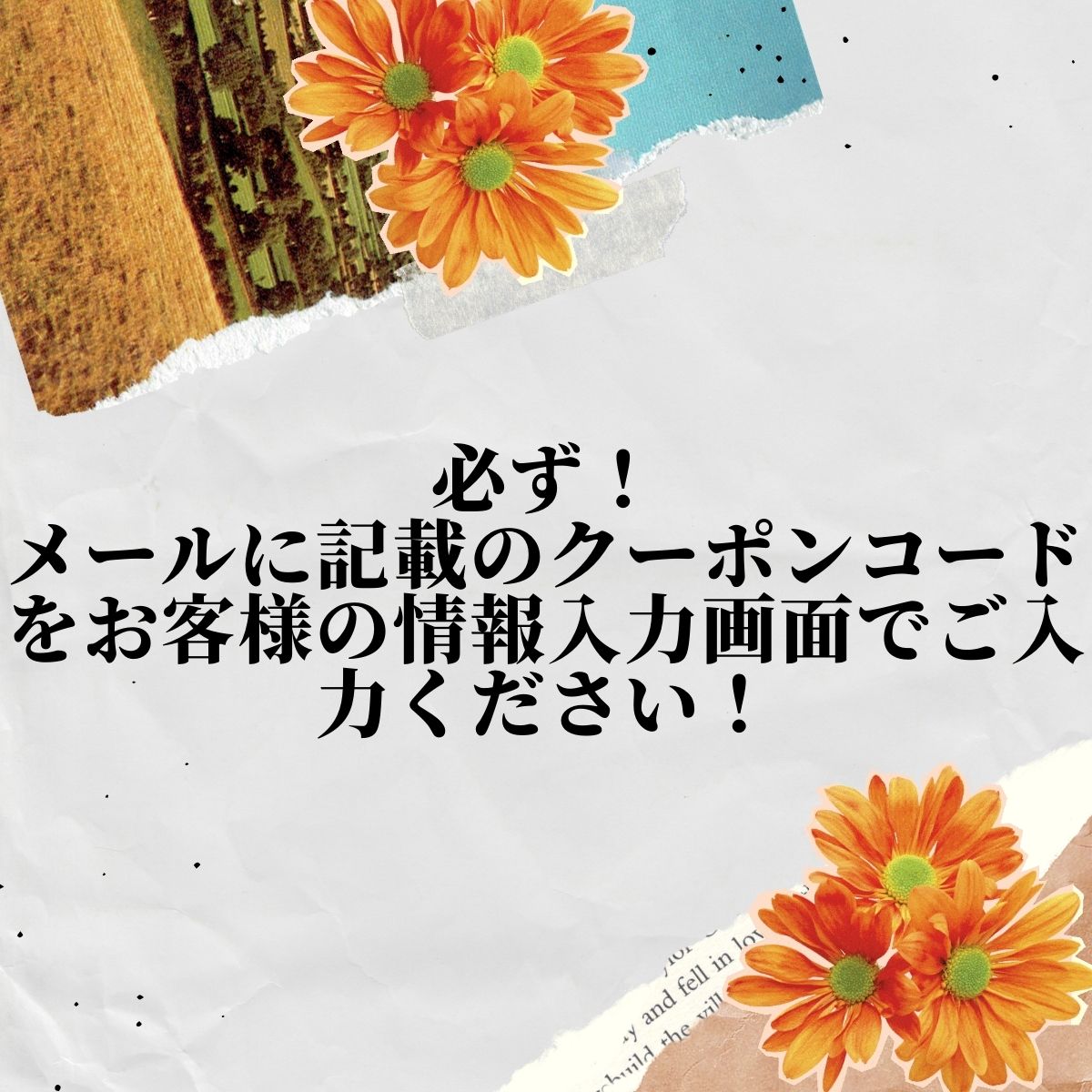 【レビュ-御礼クーポン専用】お試し商品プレゼント