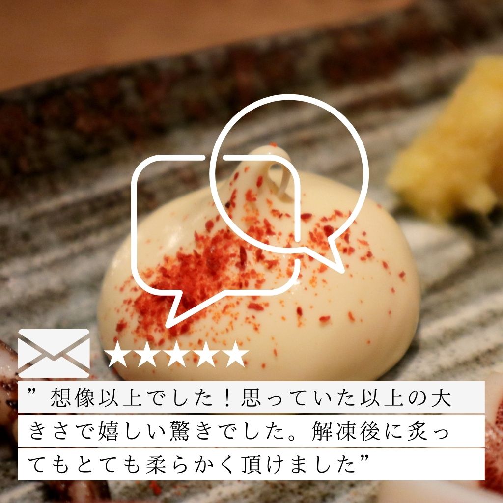 小樽前浜産一夜干しイカ お客様の声