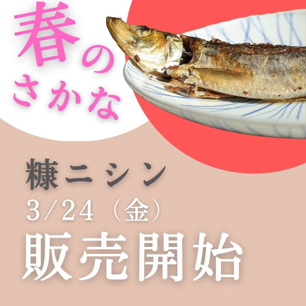 小樽前浜産 新物・甘口糠ニシンを【3月24日】から販売します！