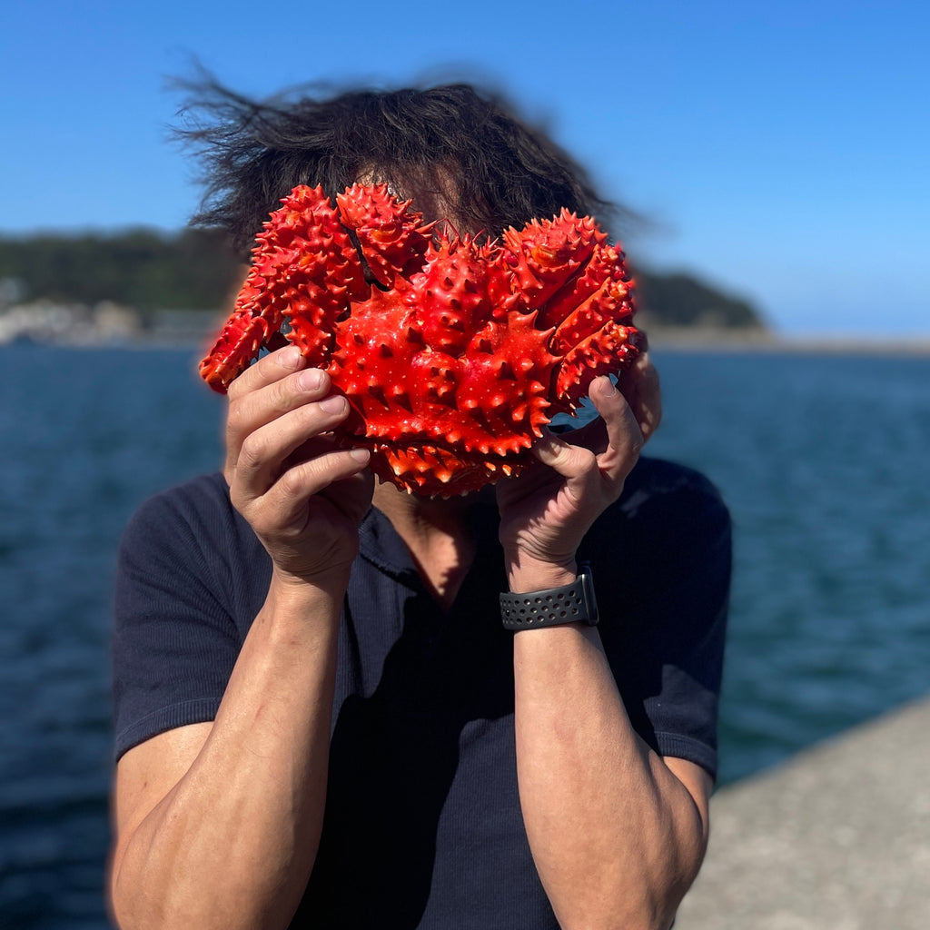 【特大プレミアムシリーズ】新作登場!北海道根室産花咲蟹の販売予定のお知らせ