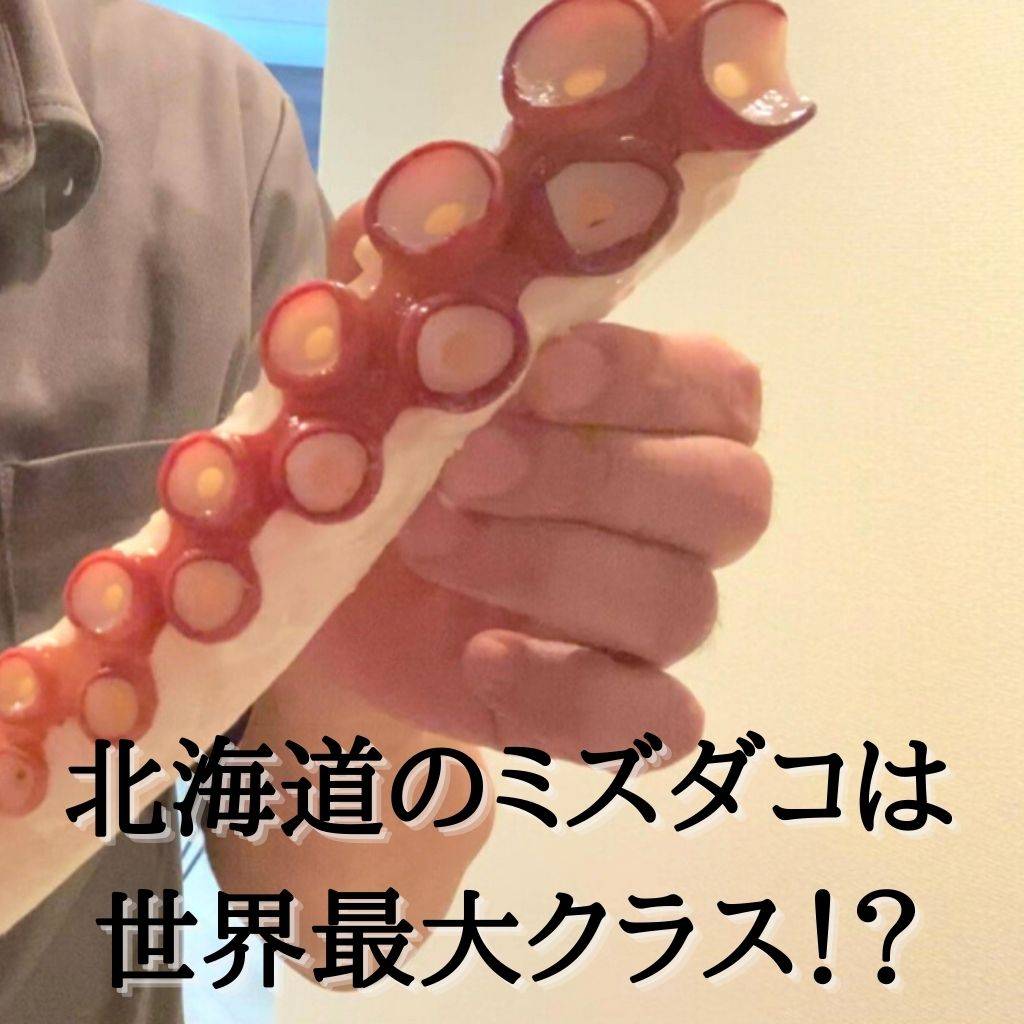 ミズダコのおすすめレシピや旬の時期は？最大サイズも紹介！