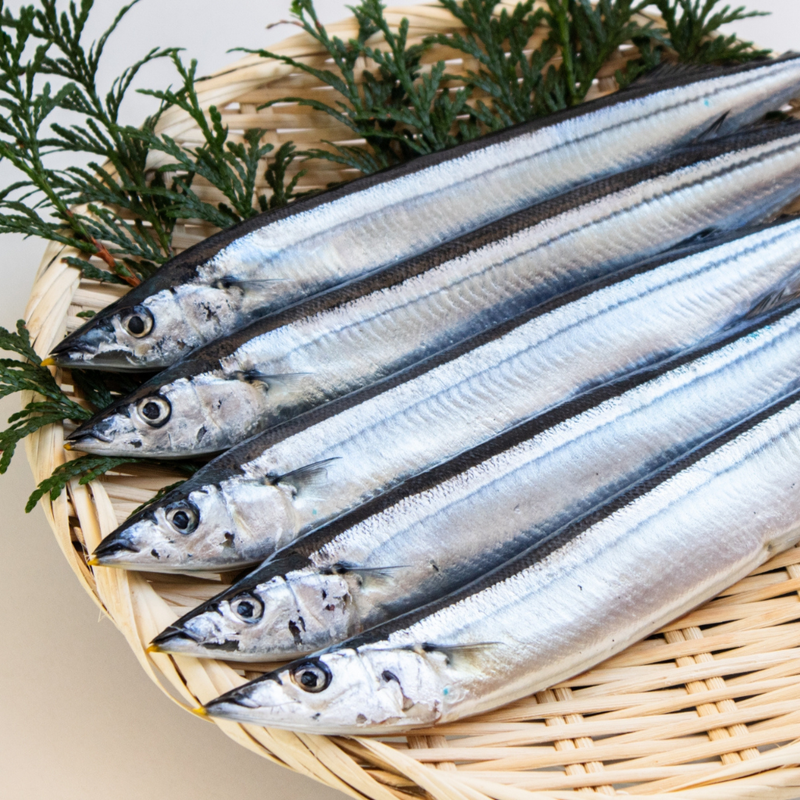 北海道産秋刀魚