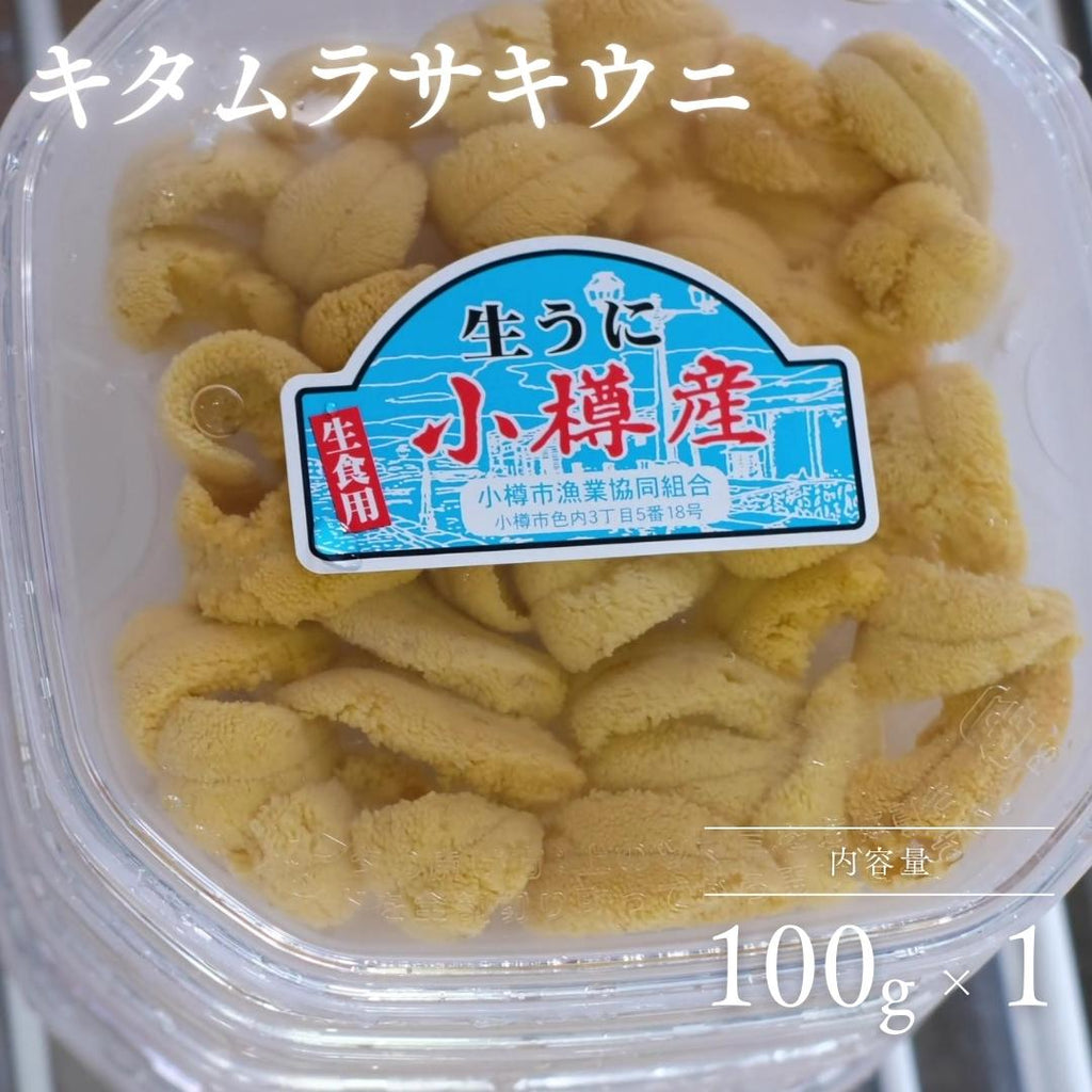 小樽産塩水生うに【白うに（キタムラサキウニ）100g×1】 2024年