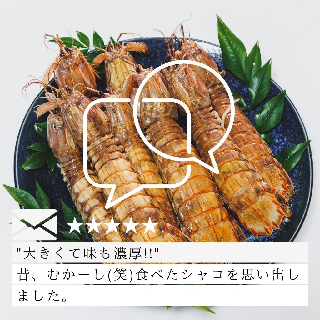 【会員限定】小樽前浜産シャコ（メス）10尾