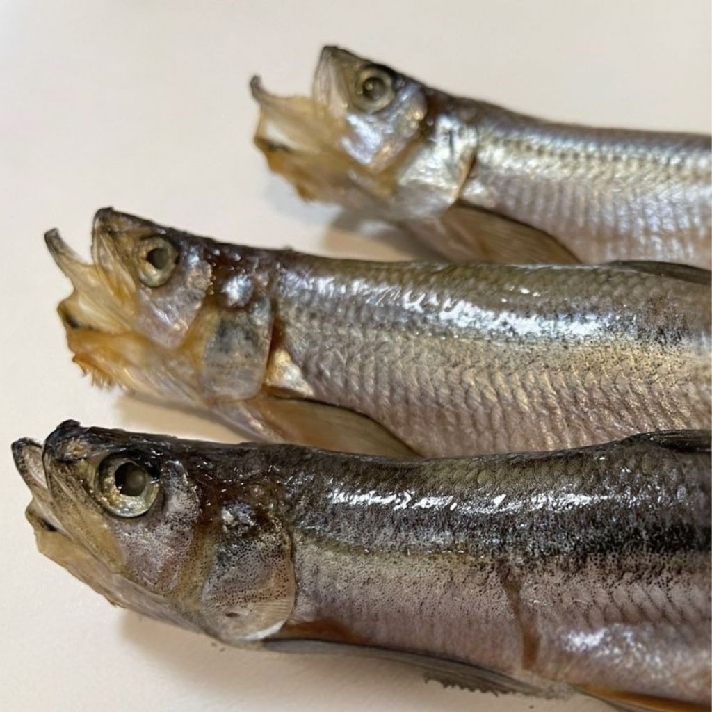 北海道産特大プレミアム本ししゃも（オス30尾）