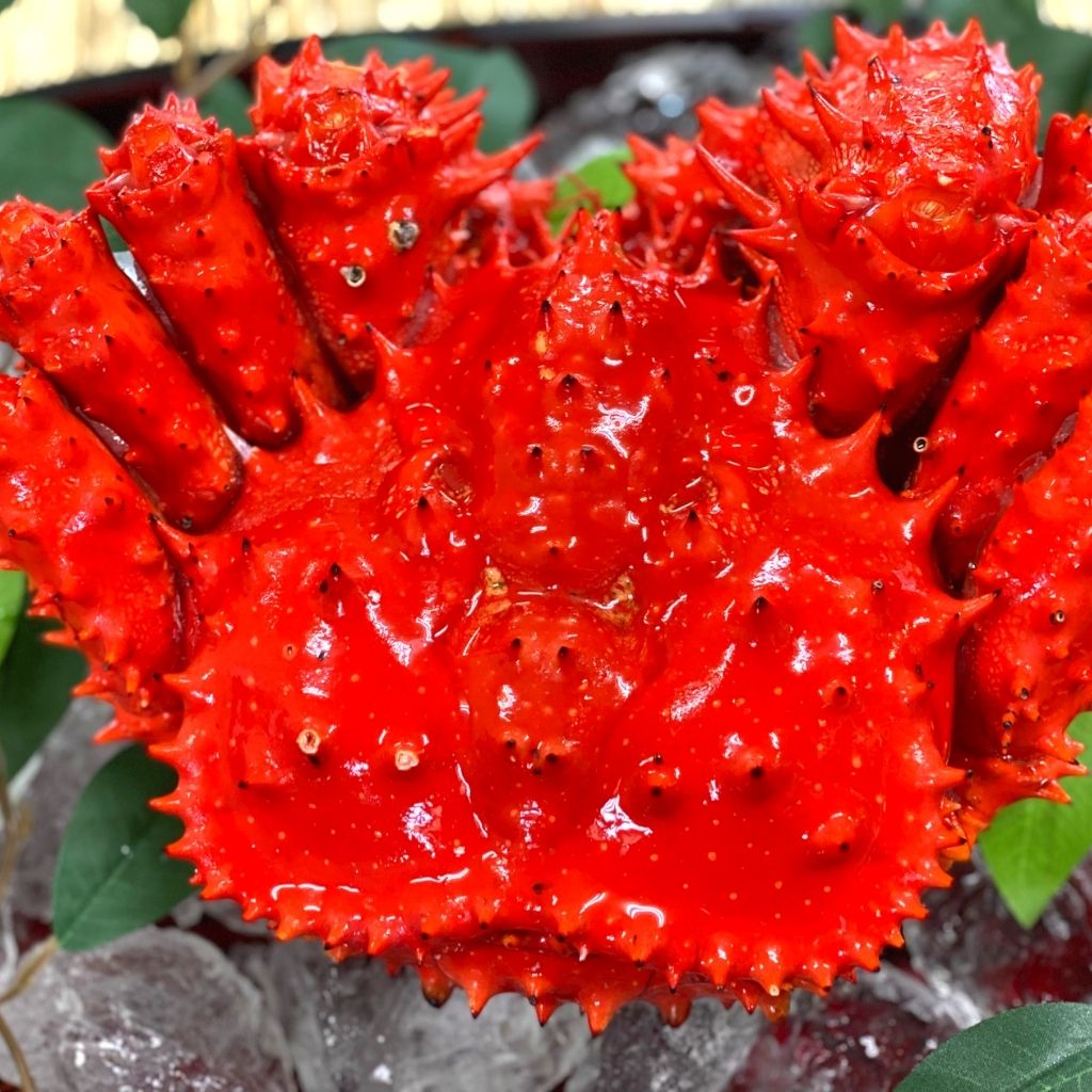 北海道産特大プレミアム花咲蟹（オス）700gアップを北海道から通販