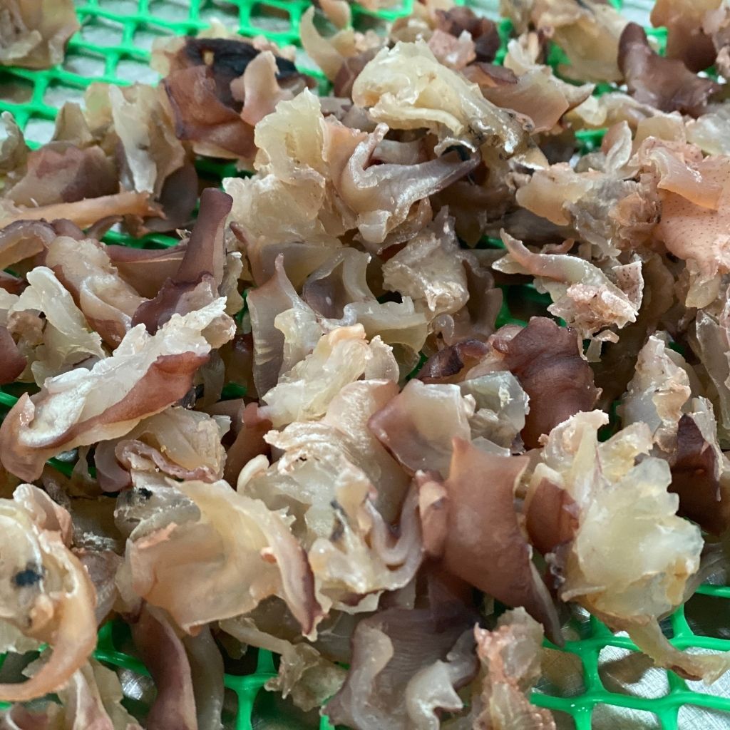 汐吹たこ（65g）