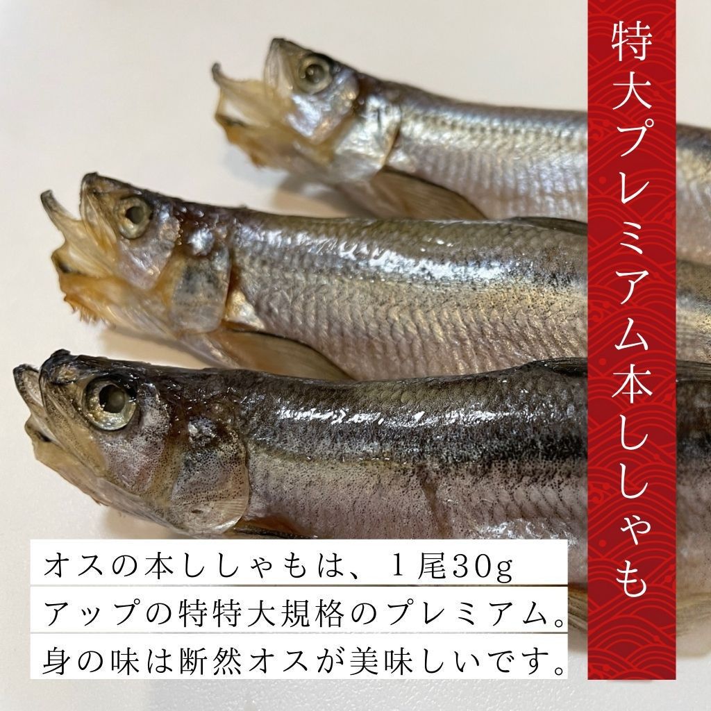 北海道産特大プレミアム本ししゃも（オス30尾）