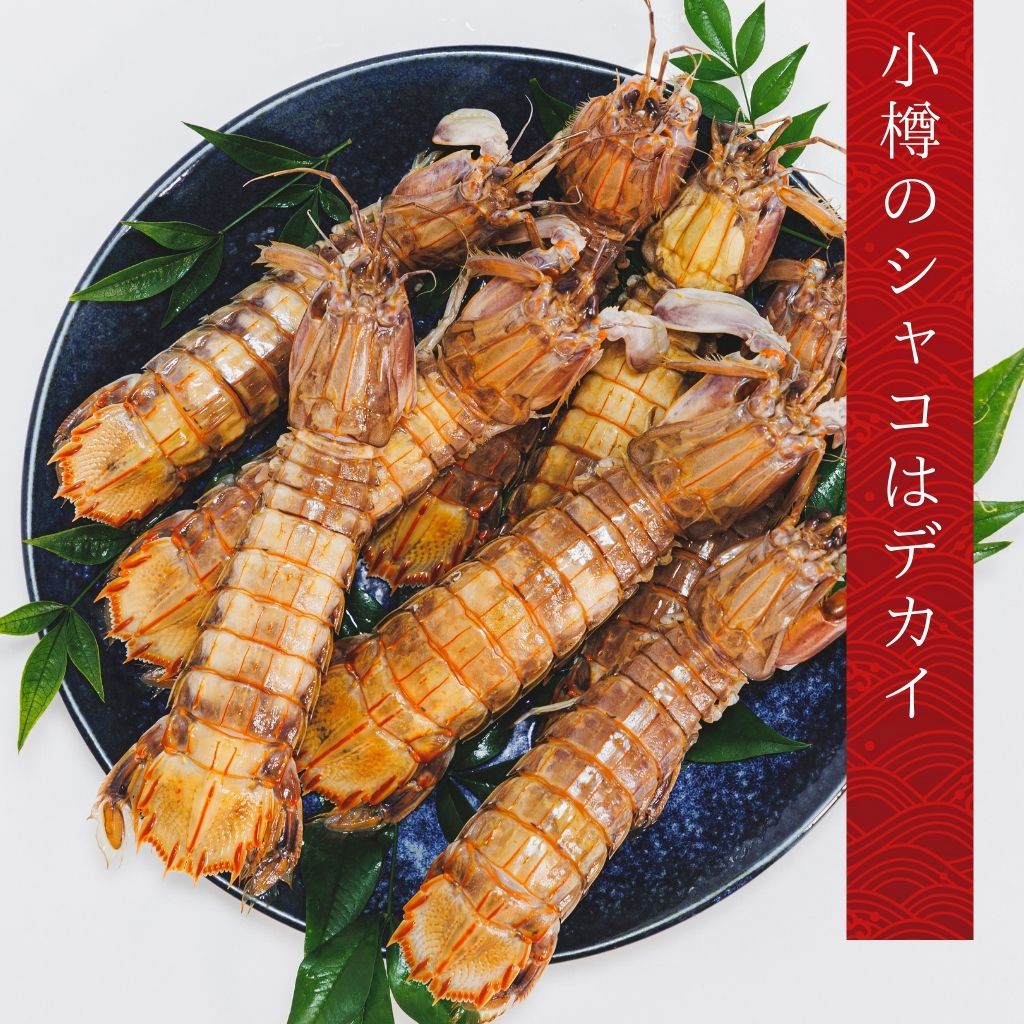 小樽前浜産特大シャコ松前漬け（250g）
