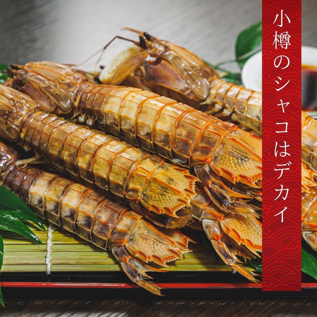 小樽前浜産特大シャコ オス を北海道から通販・取り寄せ｜ 北海道の