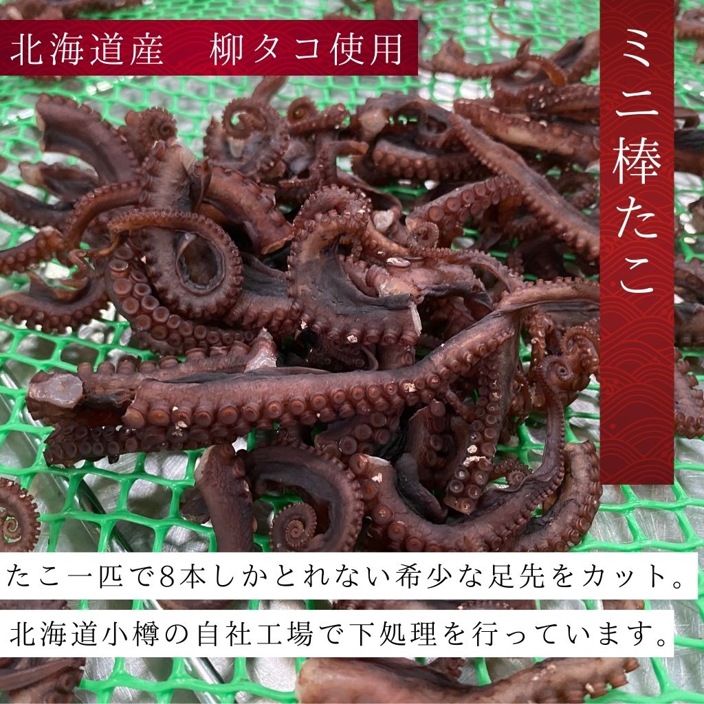 たこ ミニ棒たこ（65g） | 飯坂冨士商店