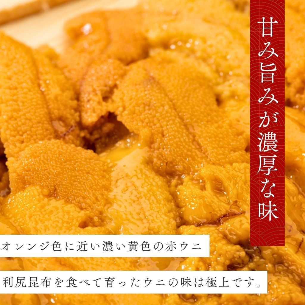 北海道礼文島産塩水うに【バフンウニ100g×2】