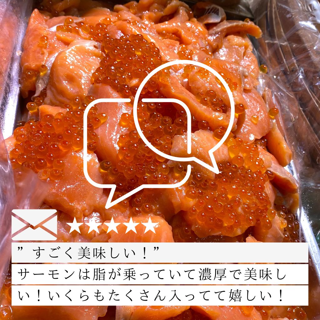 【会員限定】いくら3倍増サーモンルイベ漬け1kg
