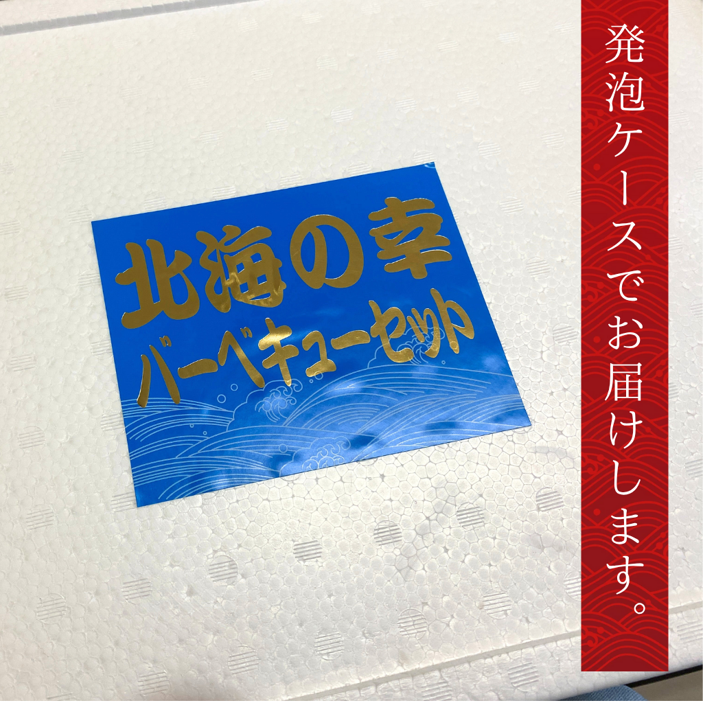 専用ケース