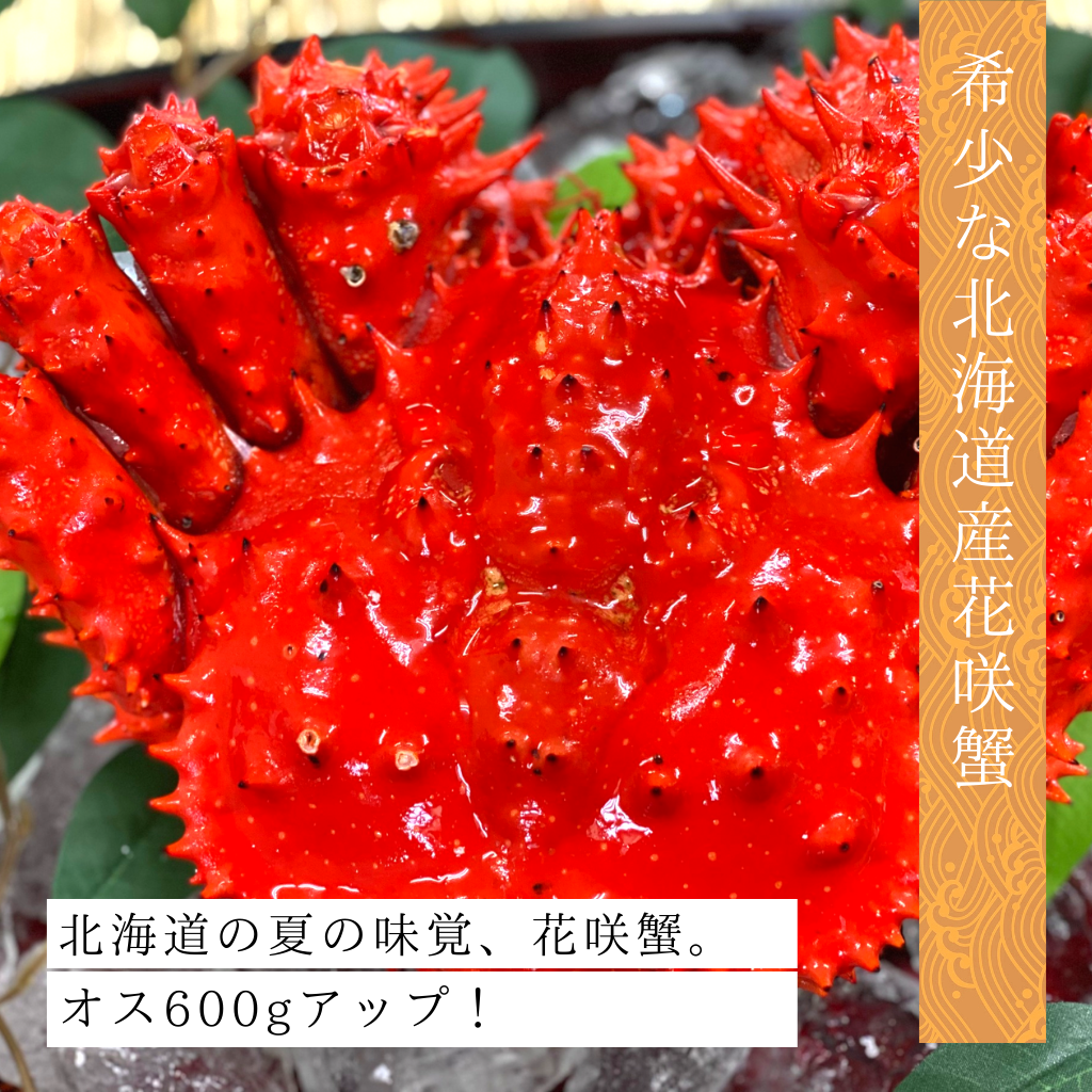 北海道産プレミアム花咲蟹（オス）600gアップ