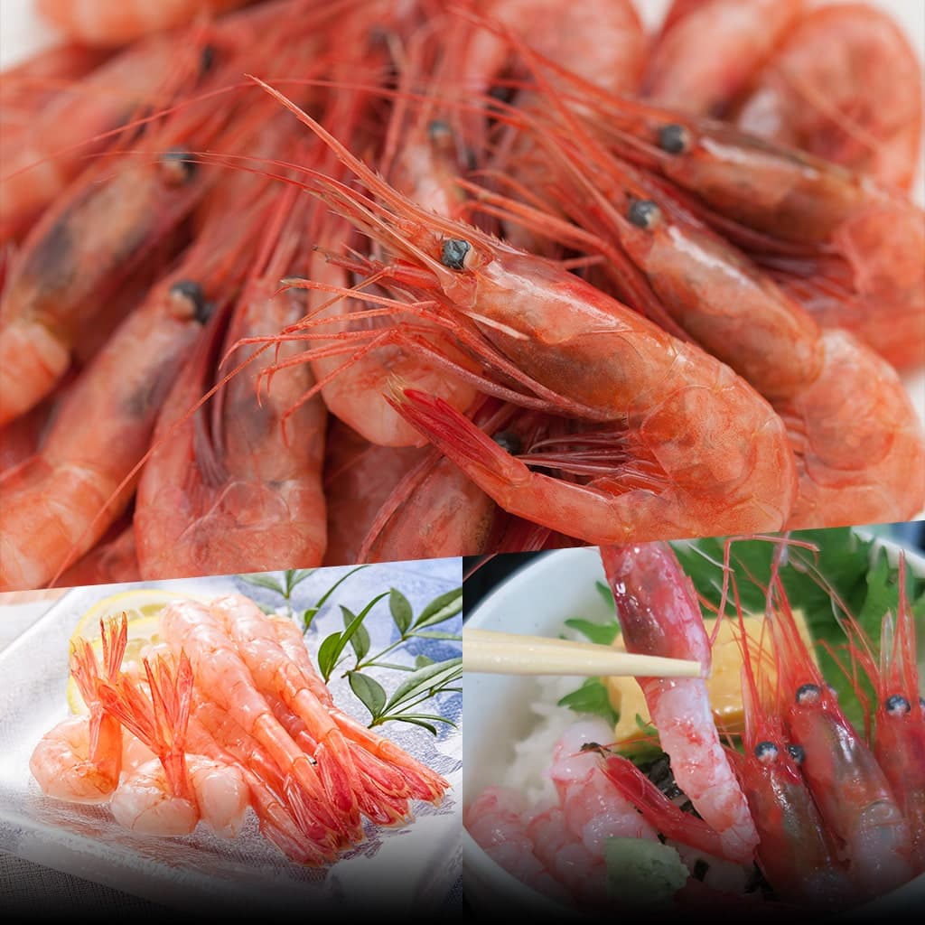 甘エビ（2L・45尾程度・1kg）