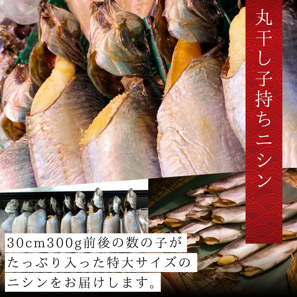 丸干し子持ちニシン北海道から通販・取り寄せ｜ 北海道の海産物通販：飯坂冨士商店オンラインショップ | 飯坂冨士商店