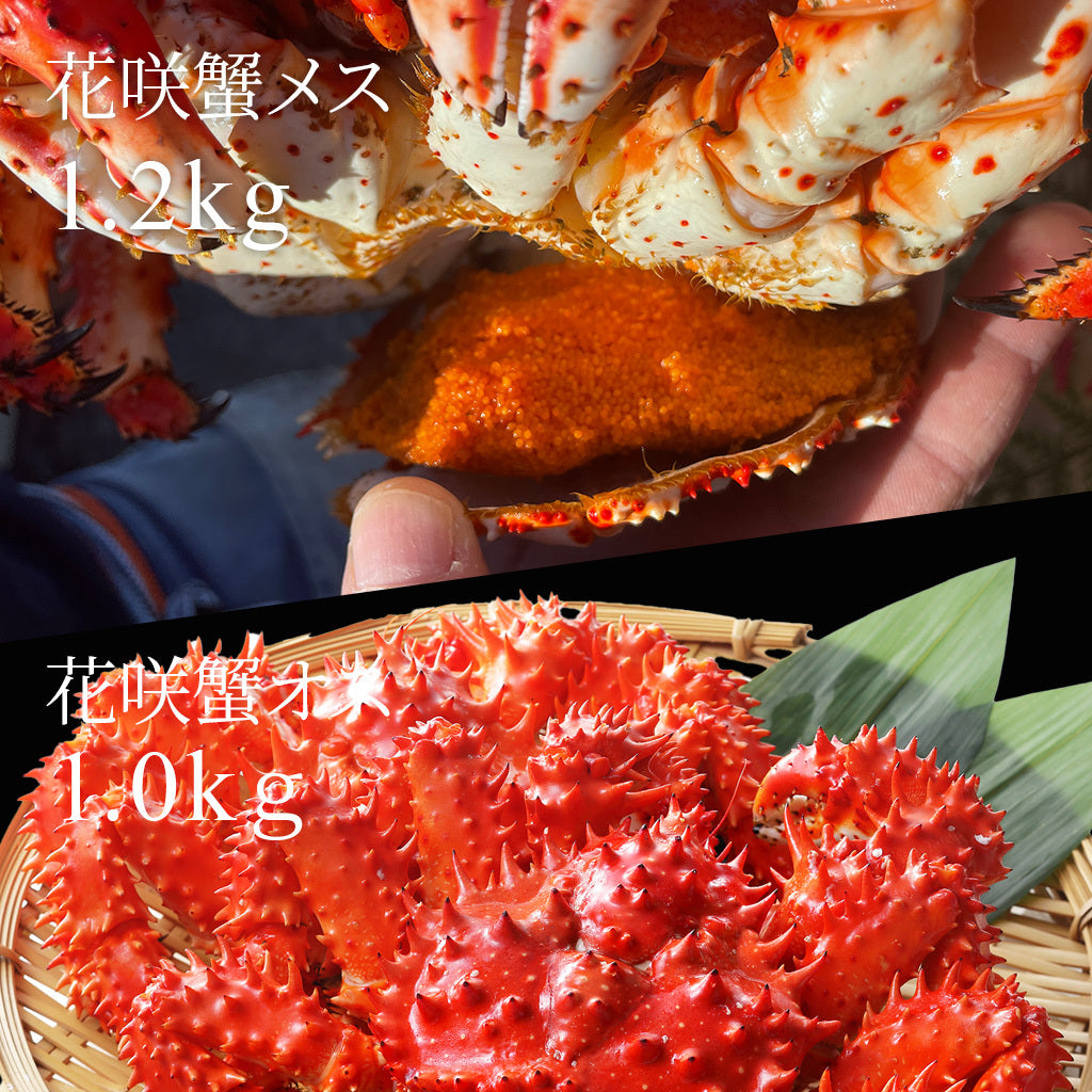 北海道産特大プレミアム花咲蟹