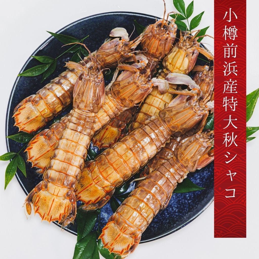 小樽前浜産特大秋シャコ（オス8尾）