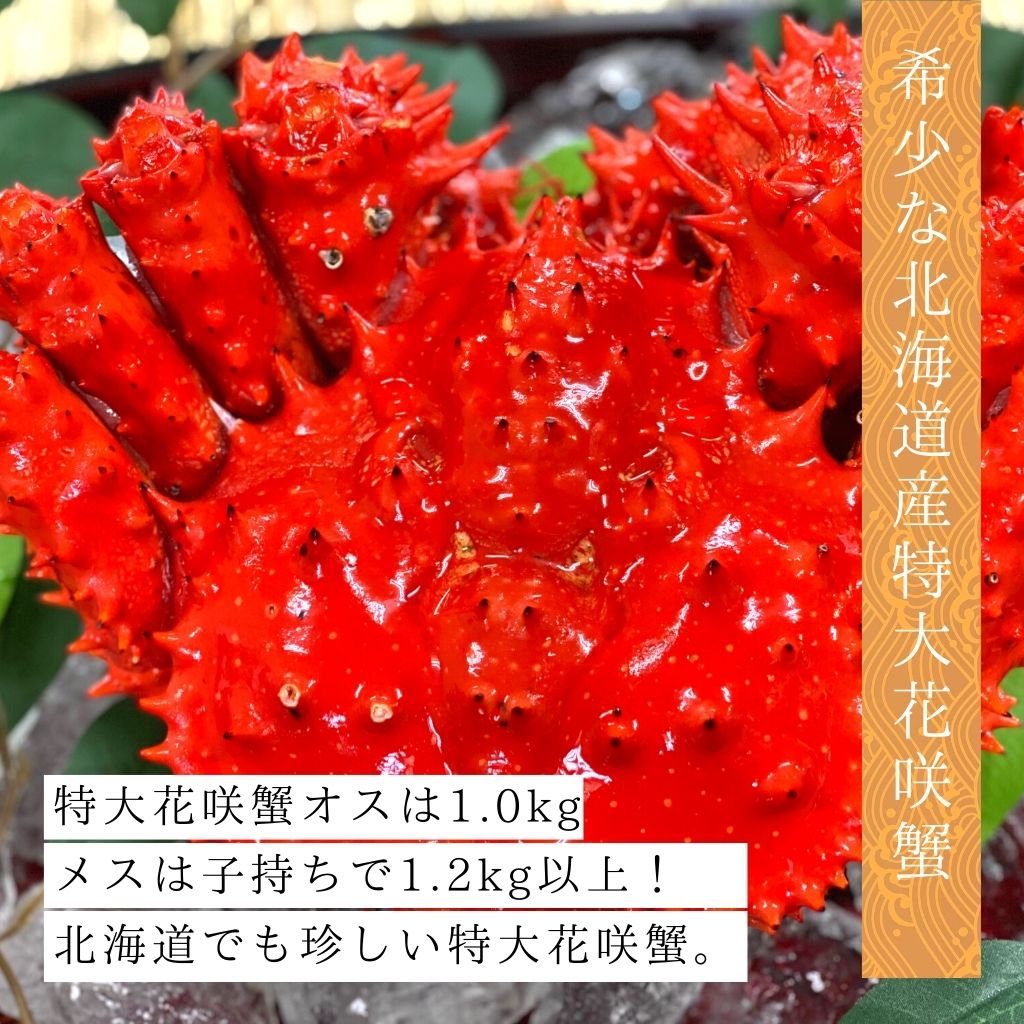 特大プレミアム 北海道根室産 花咲蟹