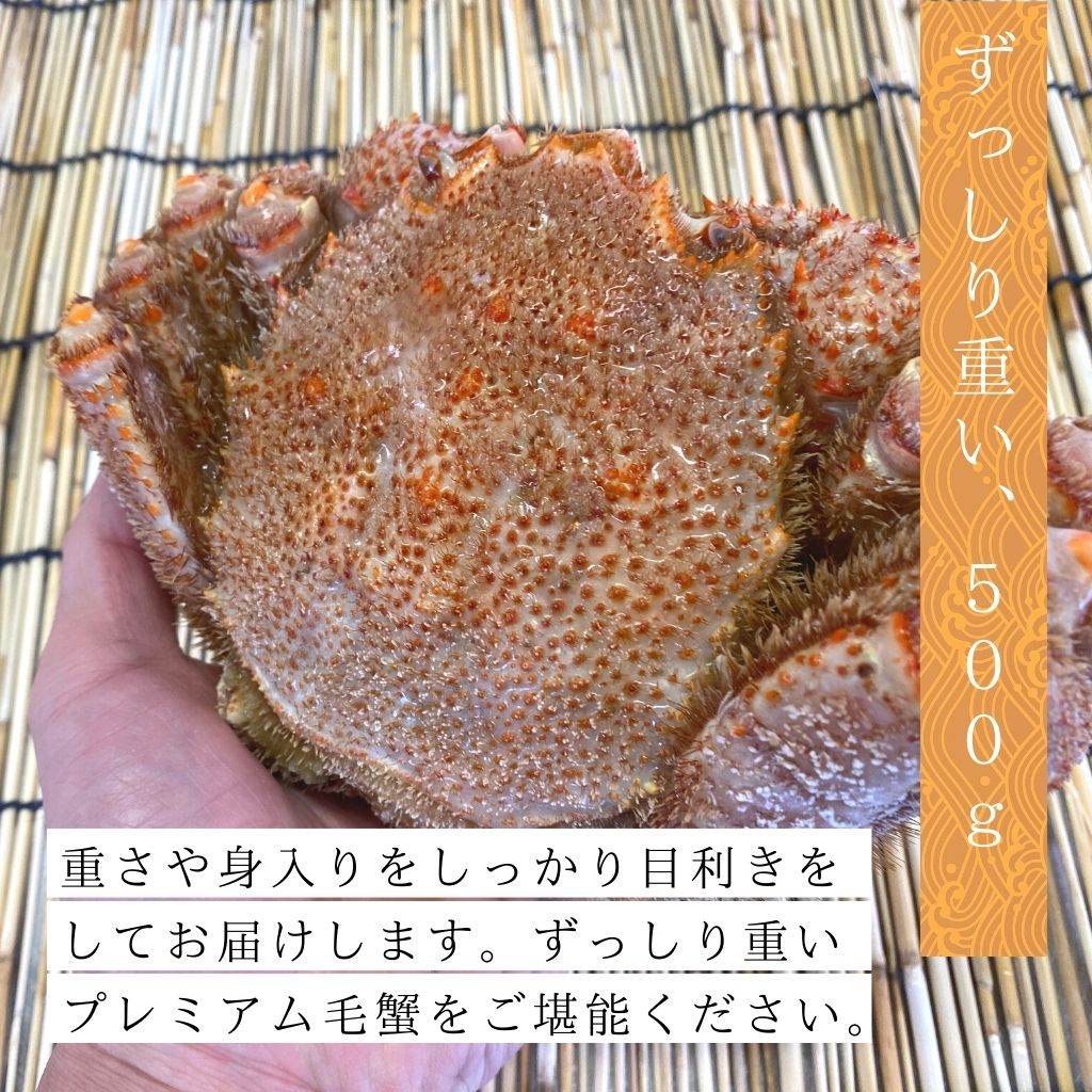 北海道産プレミアム毛蟹2尾（500g以上×2尾）