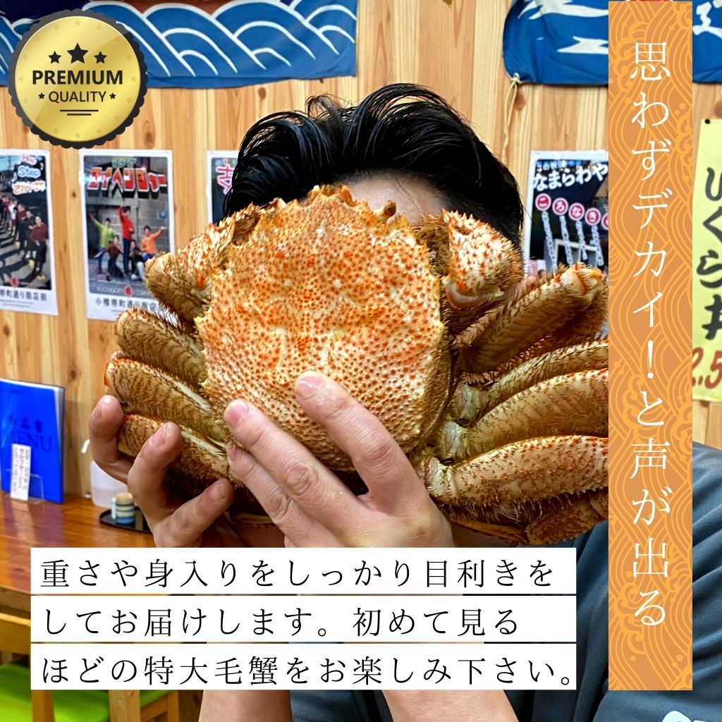 【訳あり】北海道産　毛蟹　2尾セット（合計約900ｇ〜1ｋｇ分）　付け足 訳あり 活毛ガニ 北海道産 冷蔵 2尾セット 合計1kg前後 活き 未