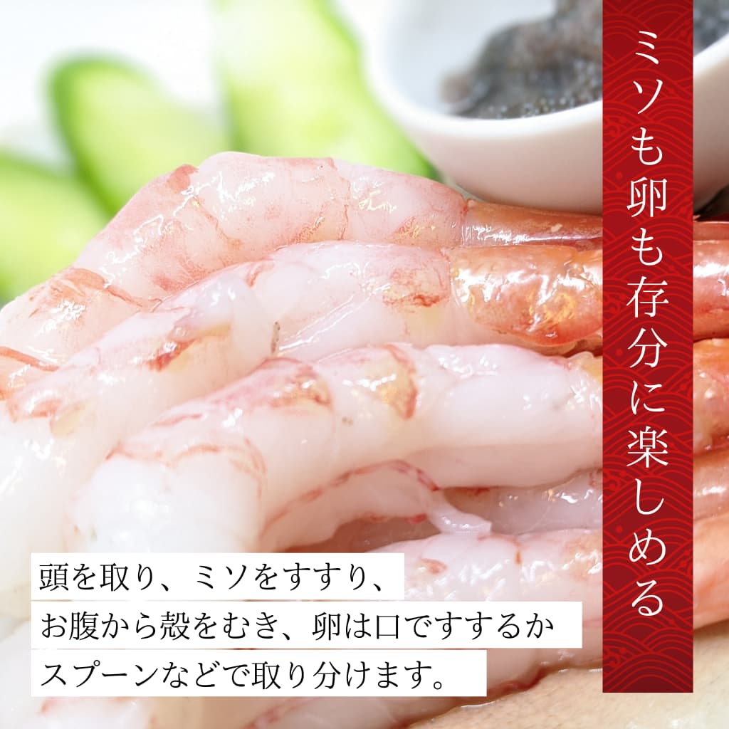 甘エビ　お刺身