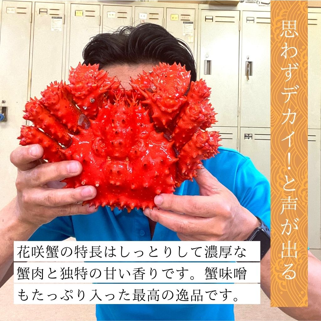 特大プレミアム 北海道根室産 花咲蟹