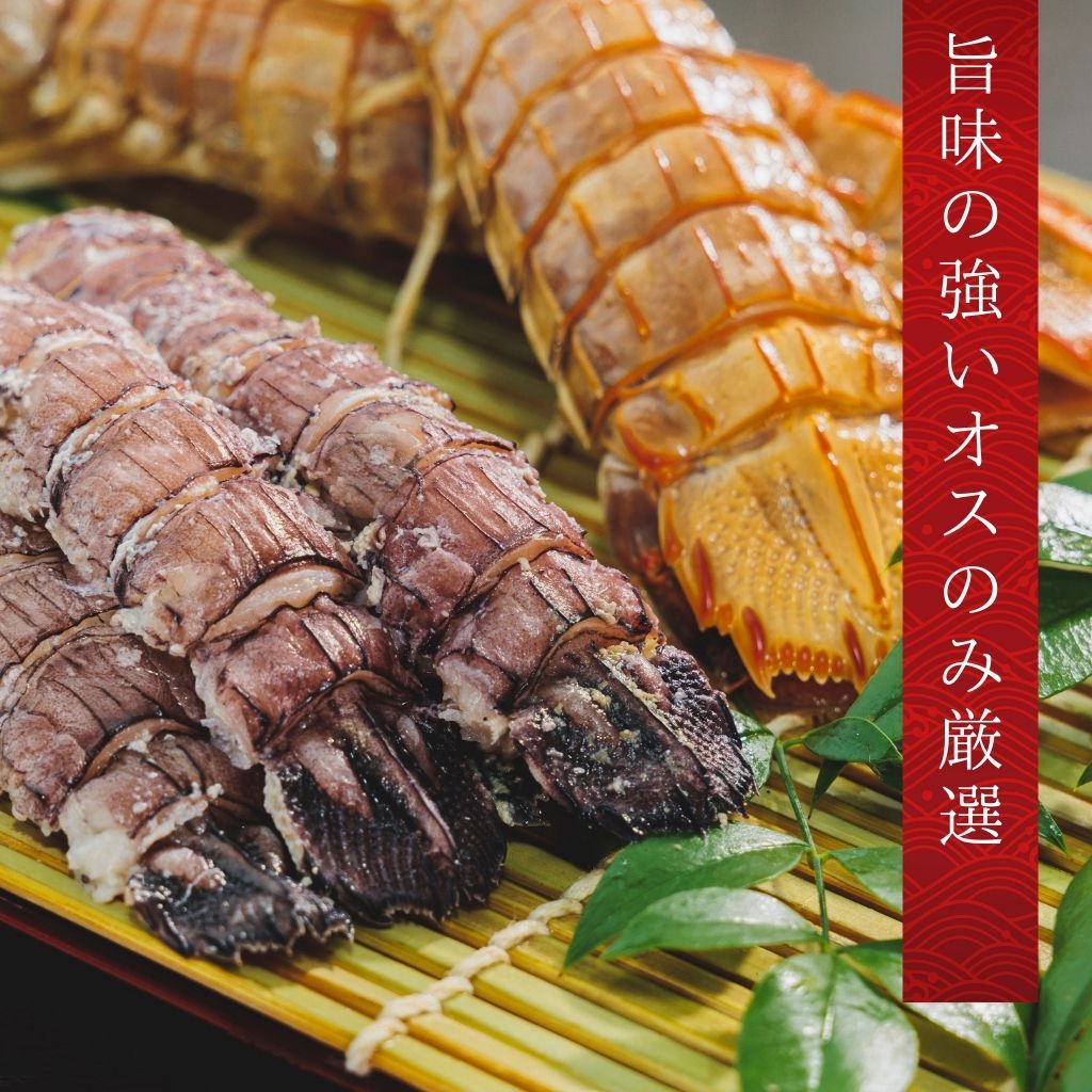 小樽前浜産特大シャコ（オス8尾×２パック）