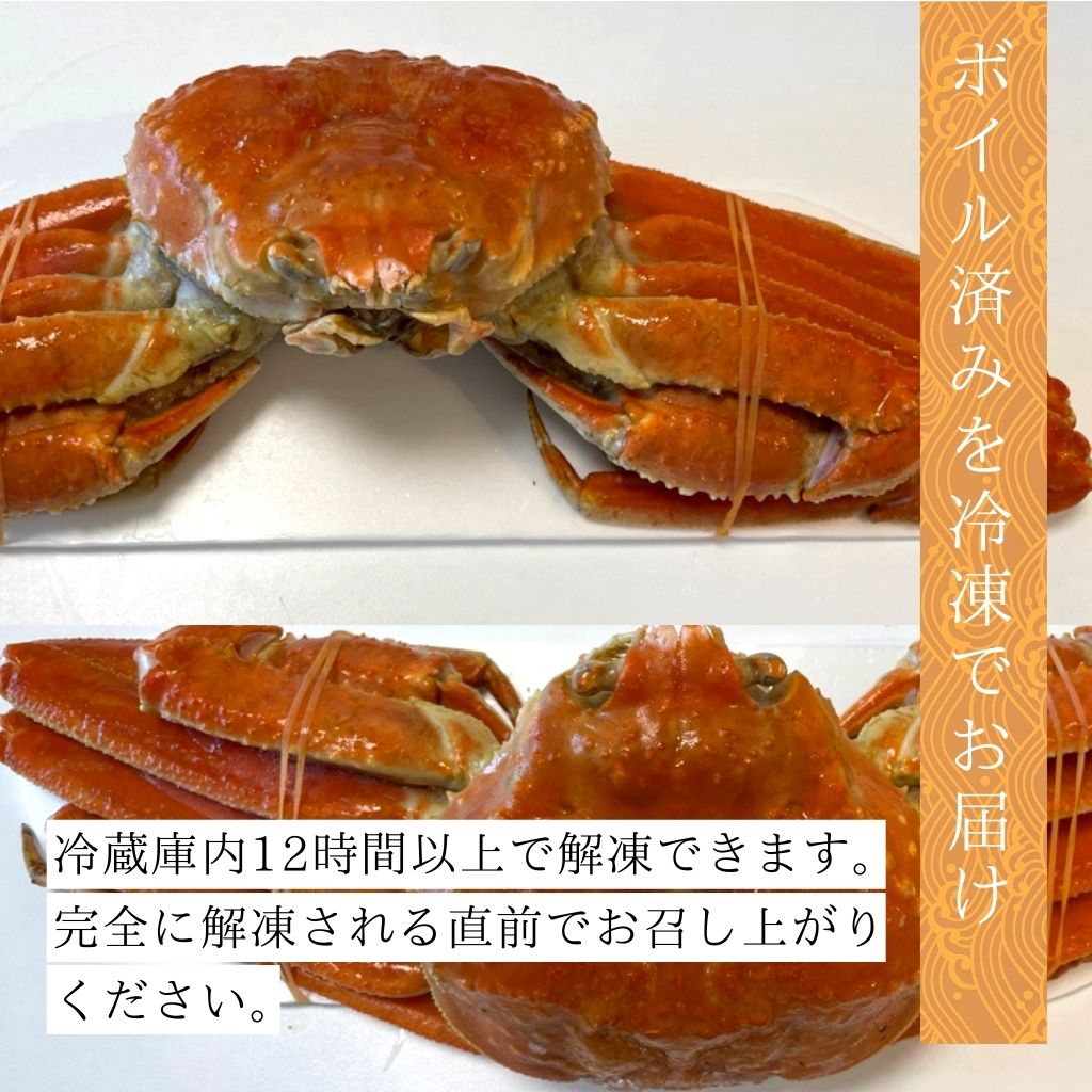 ボイルずわい蟹姿（付け足2尾1kg前後）